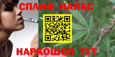 spice Коммунар